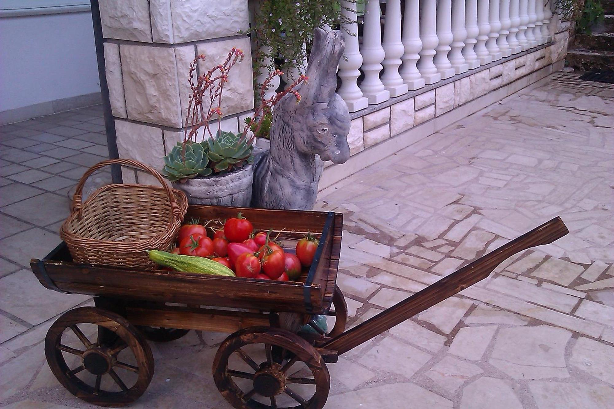 Pansion Ivana Baska Voda Ngoại thất bức ảnh